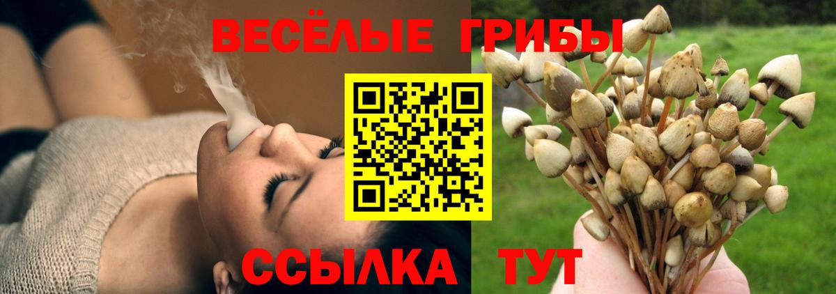 Псилоцибиновые грибы Magic Shrooms  Вход с VPN  Тула 